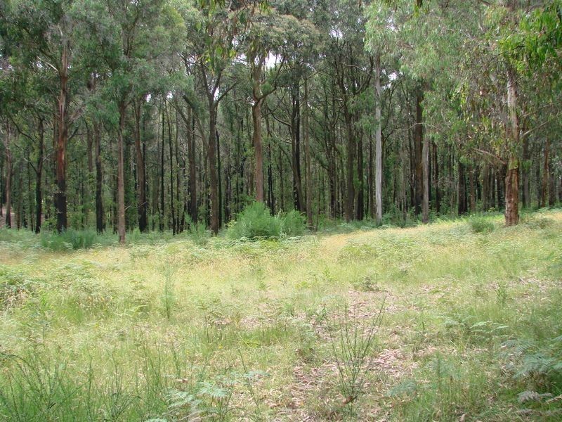 Lot 2 846 Main Road PHEASANT CREEK, Kinglake West VIC 3757