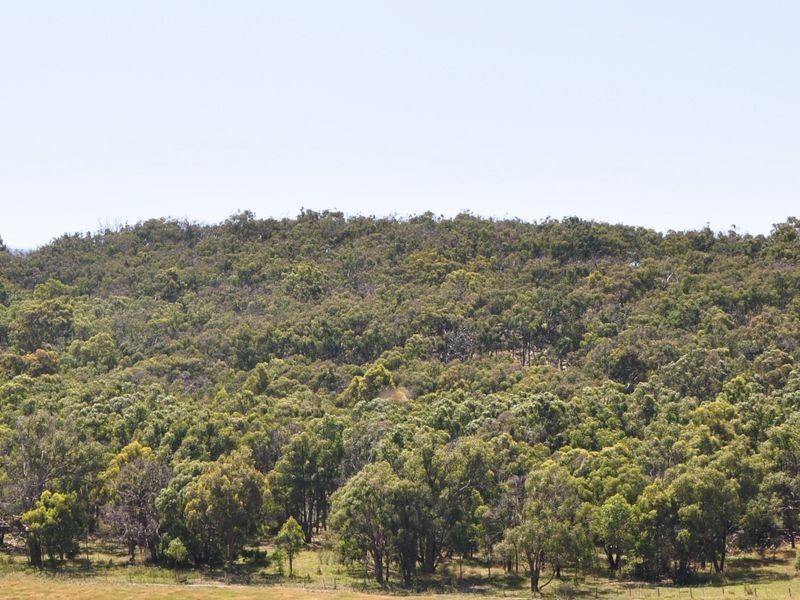 1/125 Bruces Creek Road, Whittlesea VIC 3757