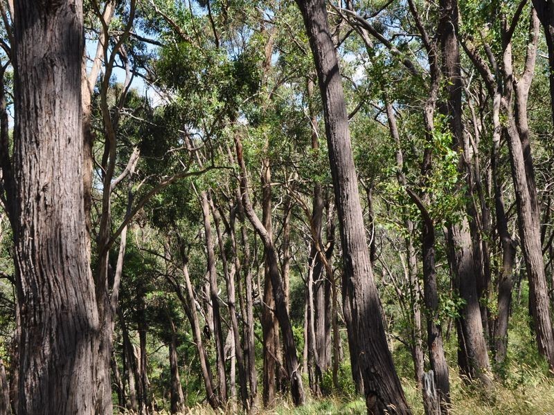 1/125 Bruces Creek Road, Whittlesea VIC 3757