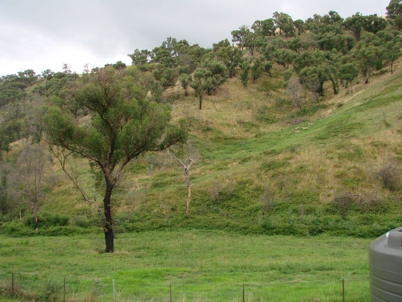 51 Long Gully Road, Flowerdale VIC 3717