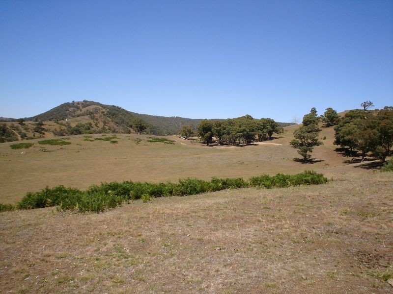 20 Collins Road, Flowerdale VIC 3717