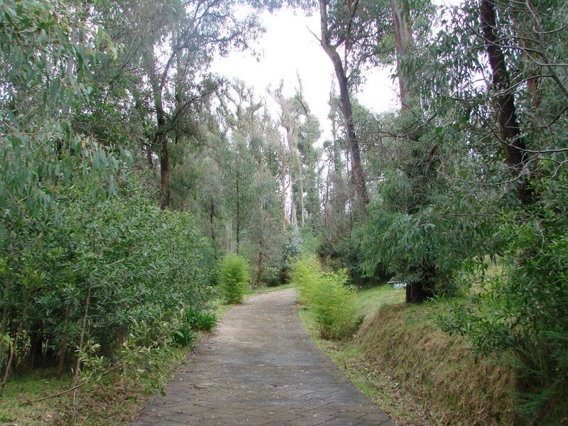 42 Silver Parrot Road, Broadford VIC 3658