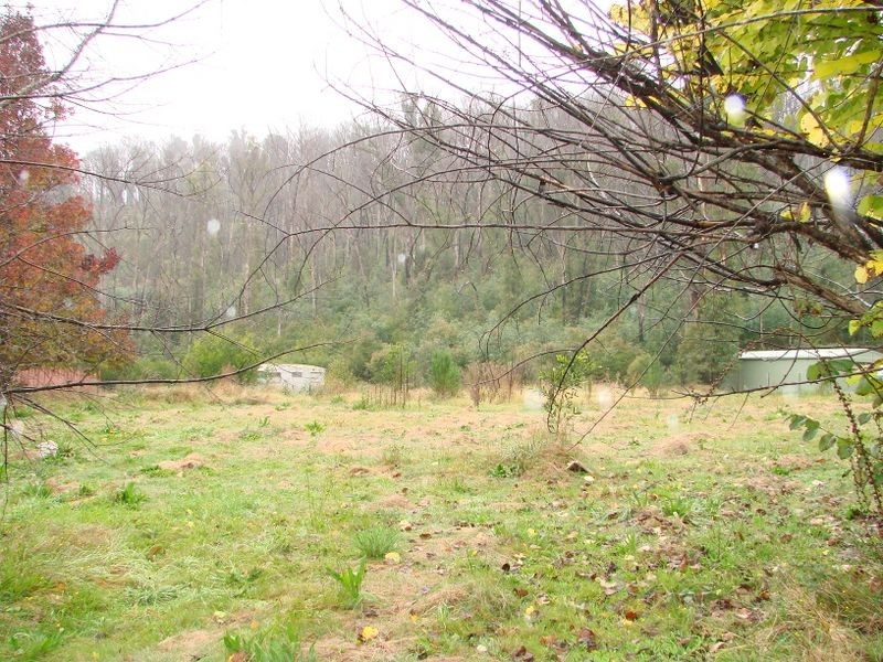 107 Silvercreek Road, Flowerdale VIC 3717