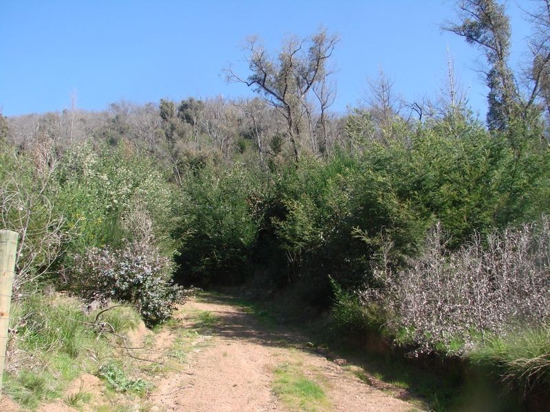 30 Long Gully Road, Broadford VIC 3658