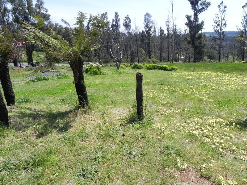 177 Main Road, Kinglake VIC 3763