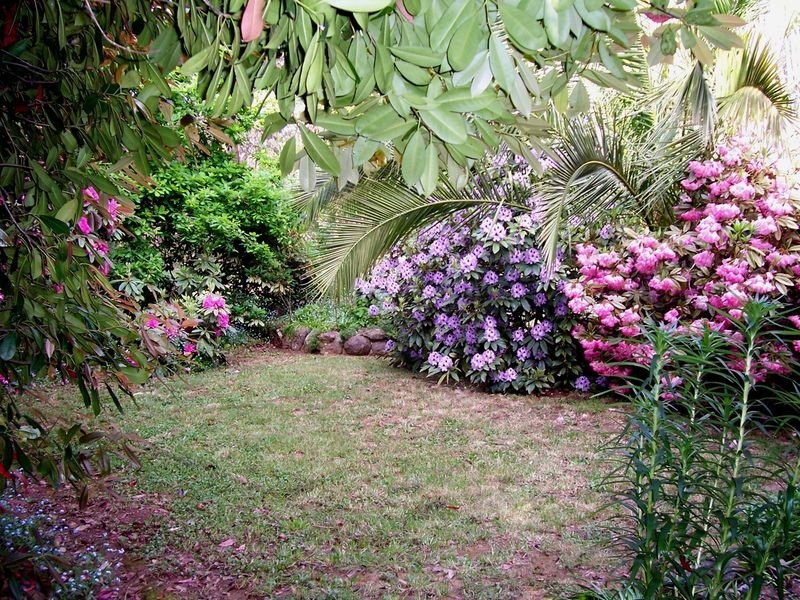 27 Jouvelet  Street, Pheasant Creek VIC 3757