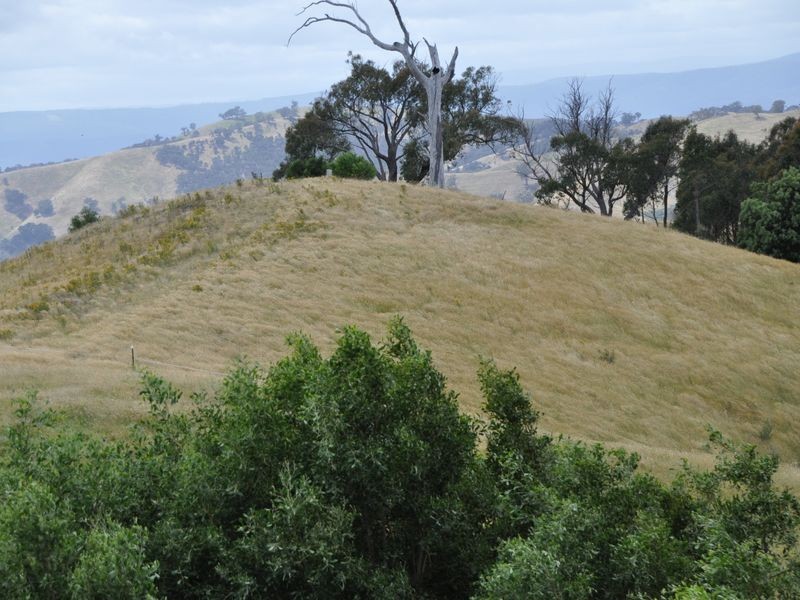 55 Foxhaven Court, Flowerdale VIC 3717