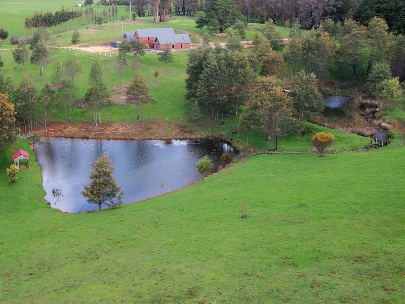 3022 Healsville Kinglake Road, Kinglake VIC 3763