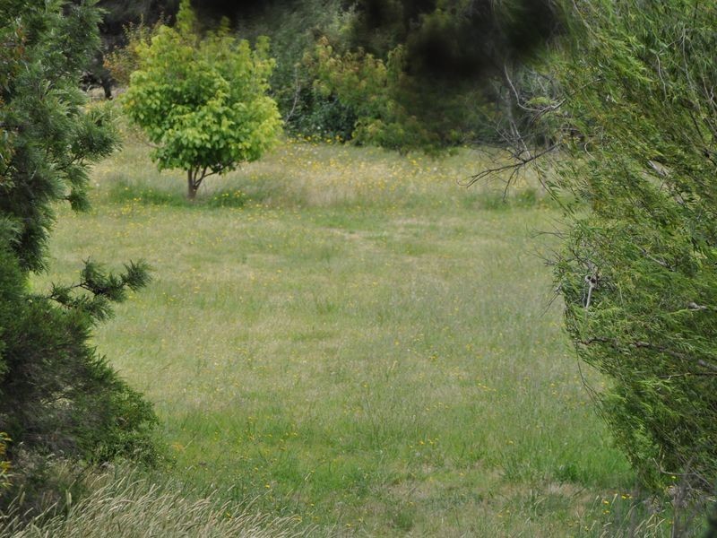 91 Fifth Ave, Eden Park VIC 3757