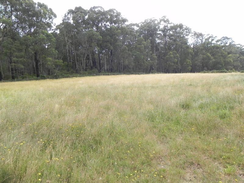 674 Extons Road, Kinglake Central VIC 3757