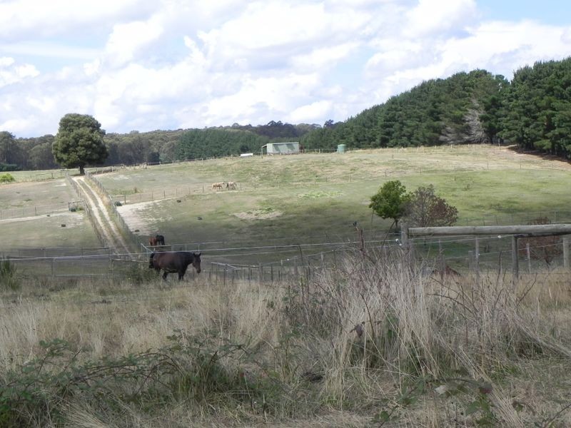 265 Watsons Road, Kinglake West VIC 3757