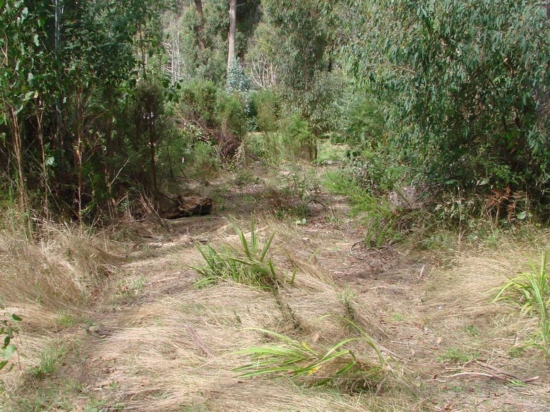 40 Silverparrot Road, Broadford VIC 3658