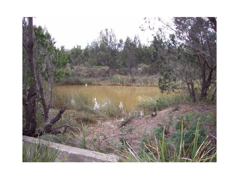 1530 Coles Bay Road, Coles Bay TAS 7215