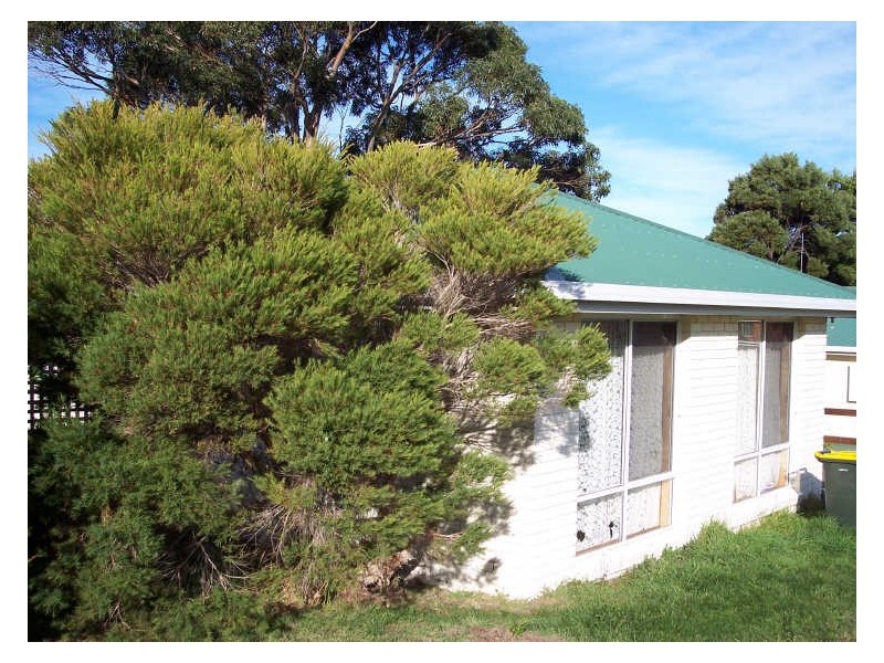 2/25 Douglas Street, Bicheno TAS 7215