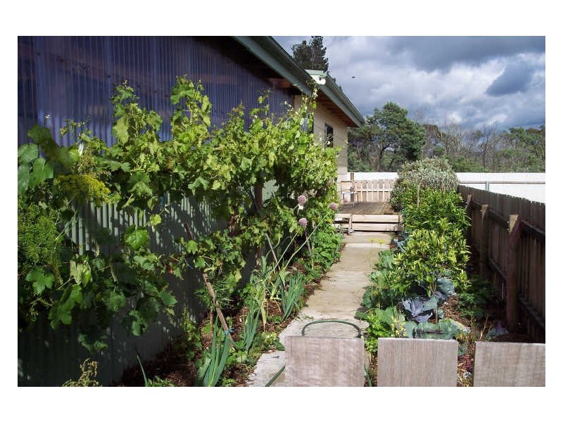 RA 233 Cambria Drive, Swansea TAS 7190