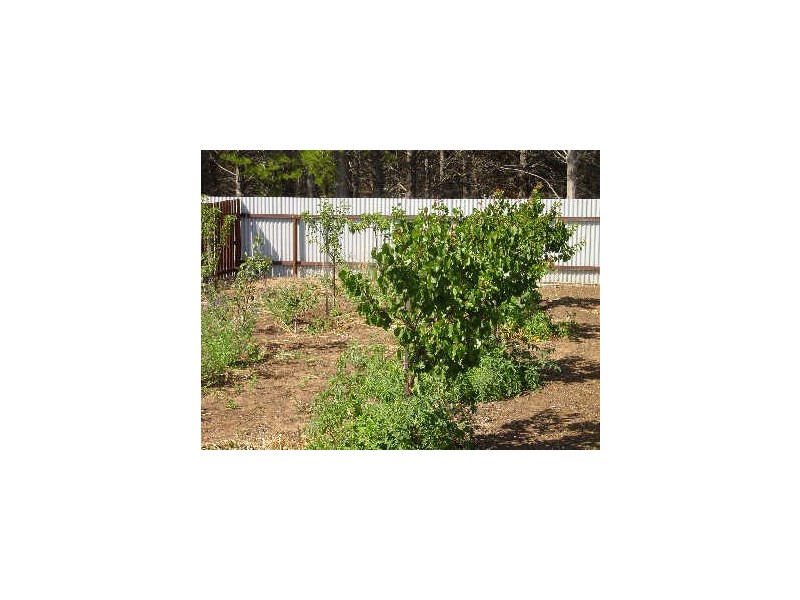 RA 233 Cambria Drive, Swansea TAS 7190