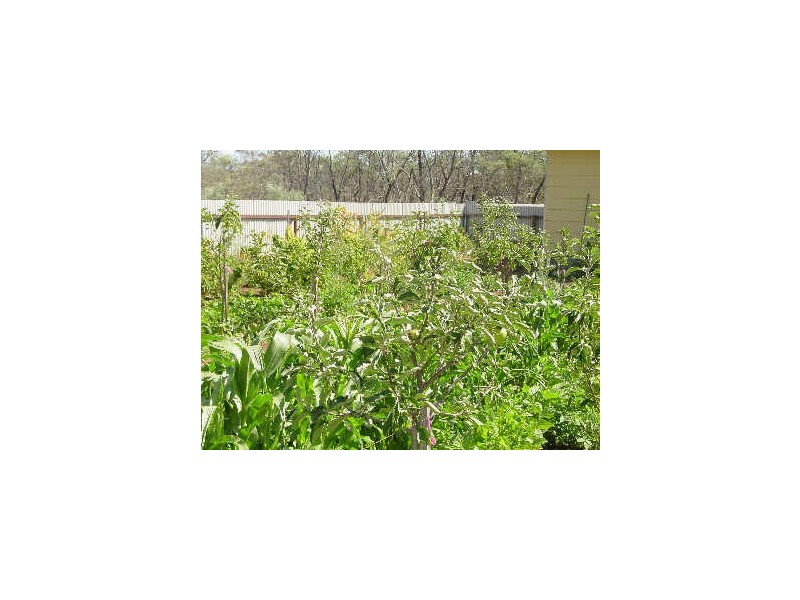 RA 233 Cambria Drive, Swansea TAS 7190