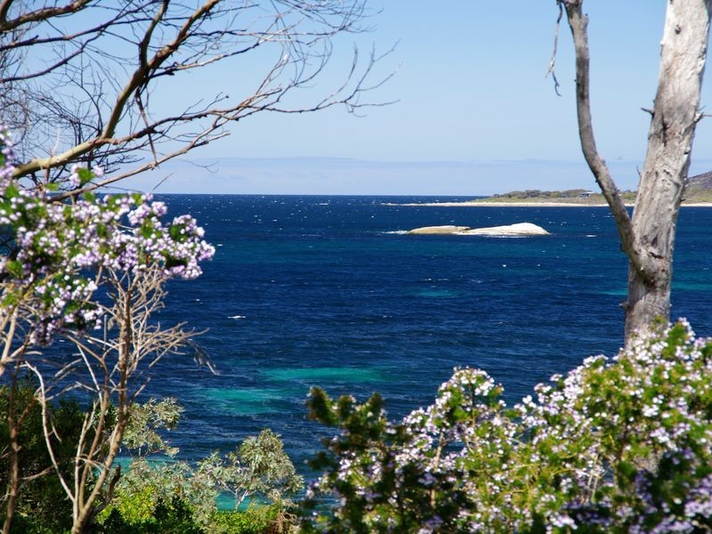 15 Weily Avenue, Bicheno TAS 7215