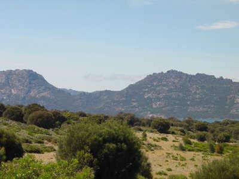 25 Oyster Bay Court, Coles Bay TAS 7215