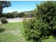7 Champ Street, Bicheno TAS 7215