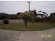 7 Champ Street, Bicheno TAS 7215