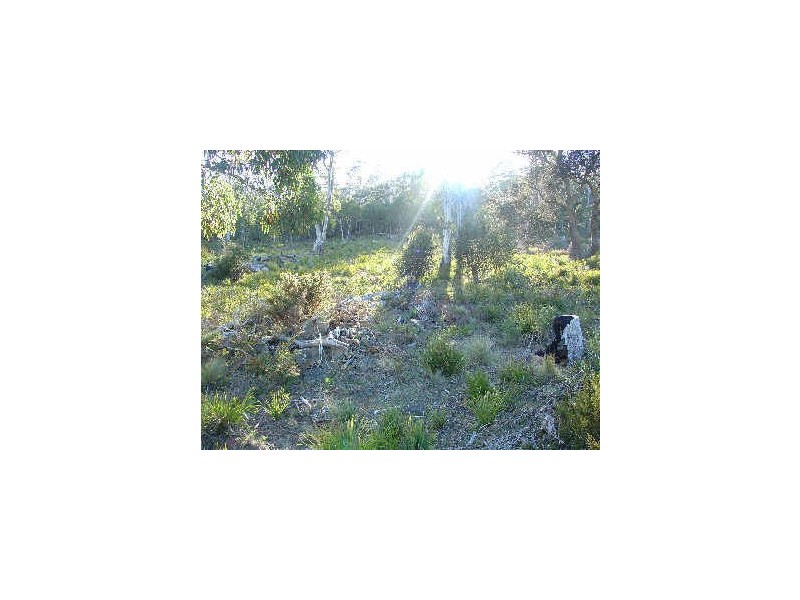 Lot 29 Brewis Place, Lake Leake TAS 7210