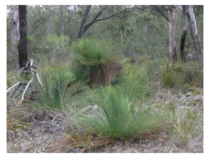 Lot 10 Rosedale Road, Bicheno TAS 7215