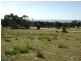(Lot 9) 10 Wallace Avenue, Bicheno TAS 7215