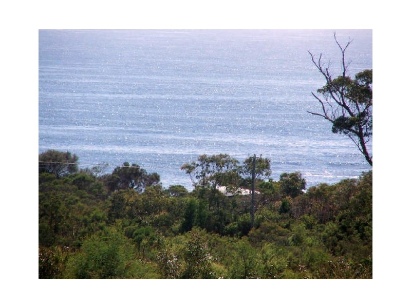248 Harveys Farm Road, Bicheno TAS 7215
