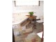 248 Harveys Farm Road, Bicheno TAS 7215