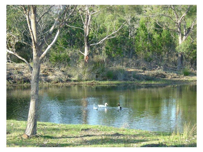 RA 39 Ferndale Road, Bicheno TAS 7215