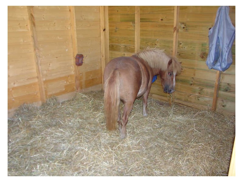 RA 39 Ferndale Road, Bicheno TAS 7215