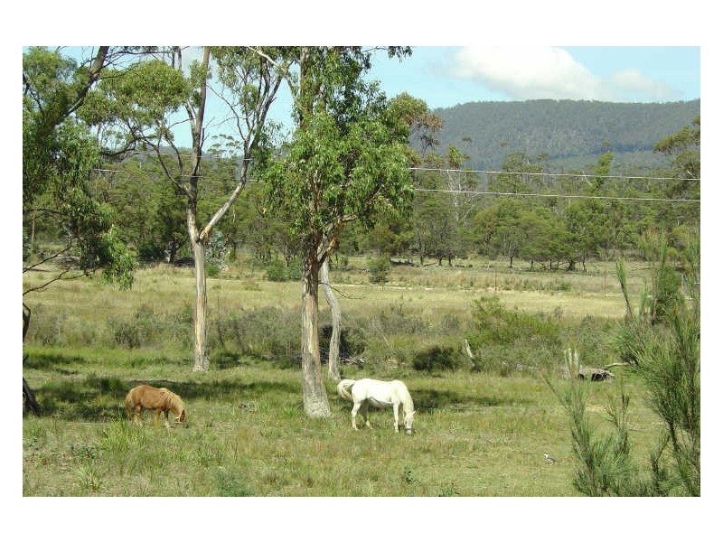 RA 39 Ferndale Road, Bicheno TAS 7215