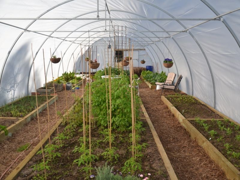 RA 39 Ferndale Road, Bicheno TAS 7215