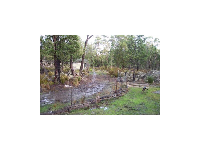 220 Rosedale Road, Bicheno TAS 7215