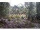 220 Rosedale Road, Bicheno TAS 7215