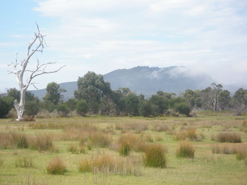 Lot 4 Flacks Road, Coles Bay TAS 7215