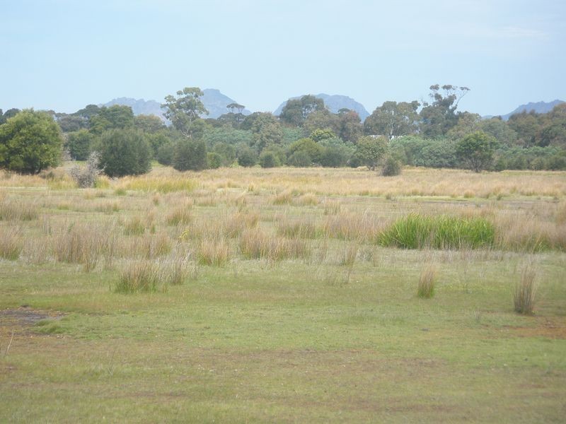 Lot 4 Flacks Road, Coles Bay TAS 7215