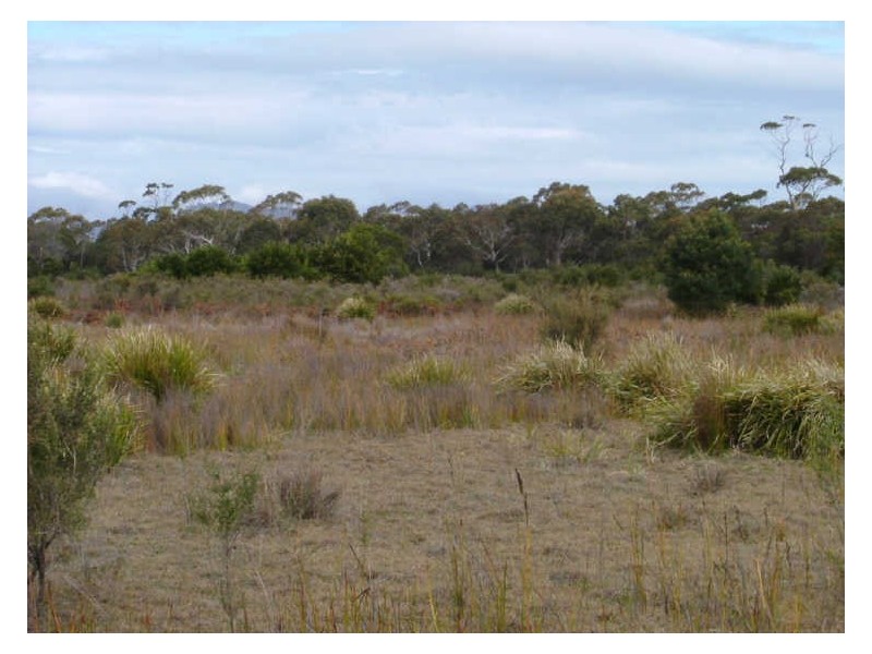 Lot 4 Flacks Road, Coles Bay TAS 7215