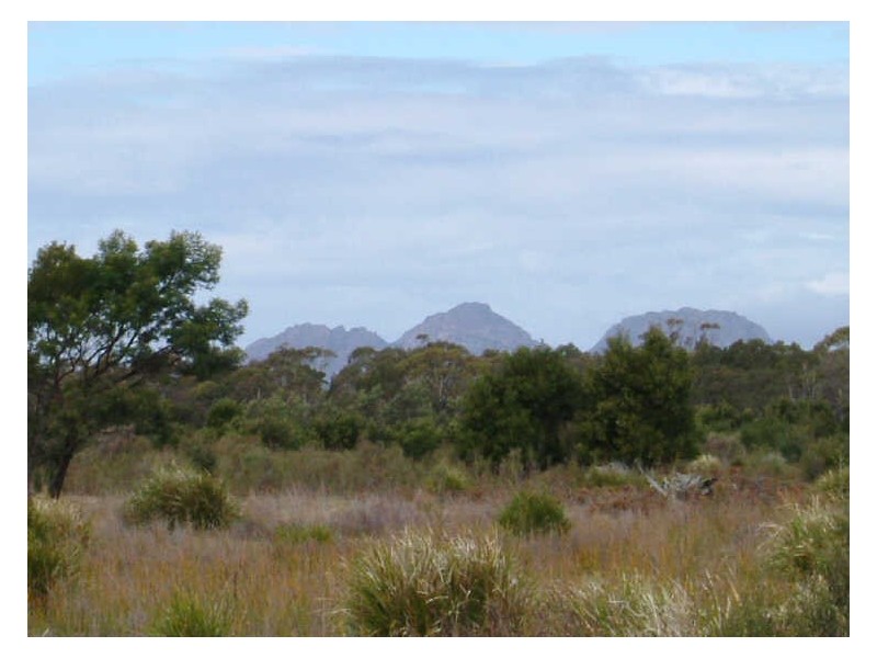 Lot 4 Flacks Road, Coles Bay TAS 7215