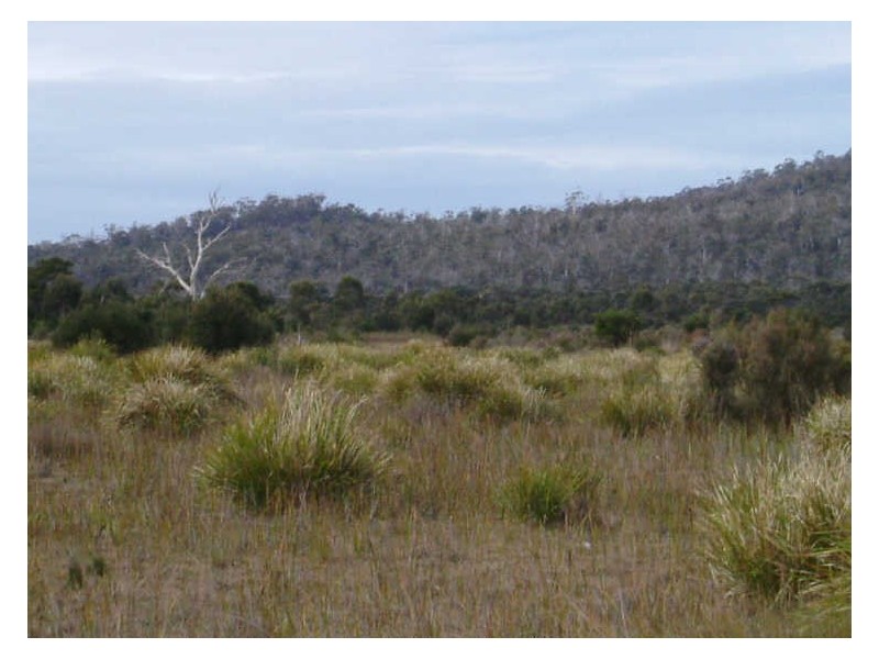 Lot 4 Flacks Road, Coles Bay TAS 7215