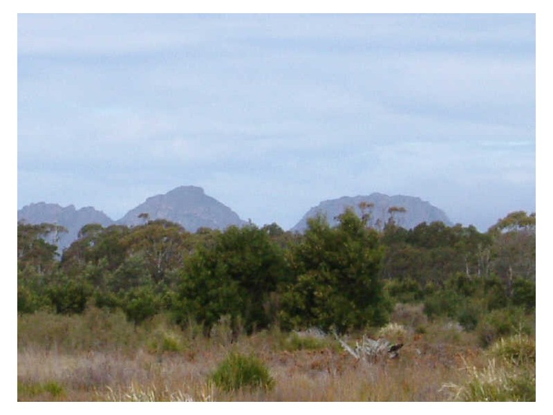 Lot 4 Flacks Road, Coles Bay TAS 7215