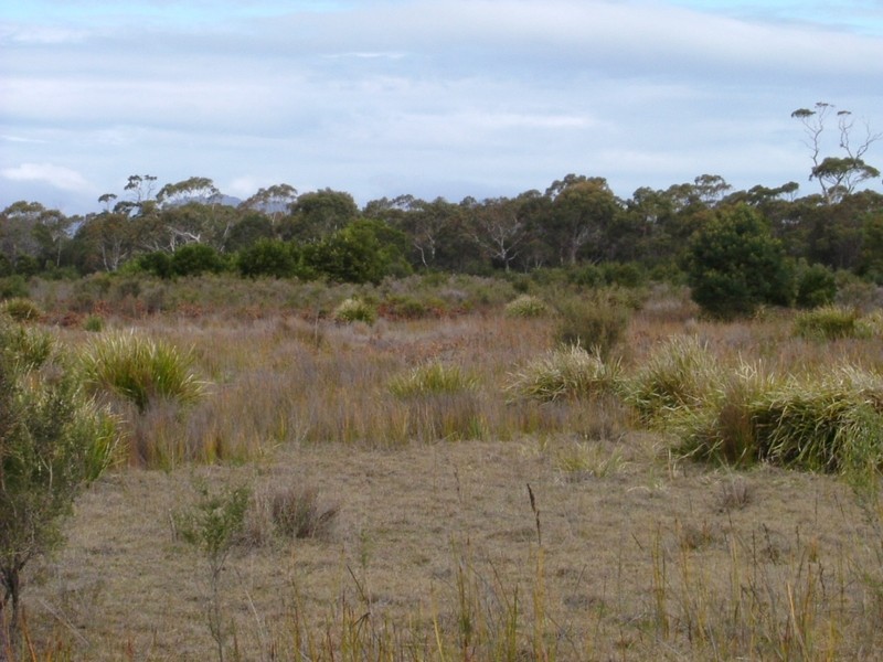 Lot 4 Flacks Road, Coles Bay TAS 7215