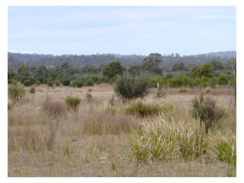 Lot 4 Flacks Road, Coles Bay TAS 7215