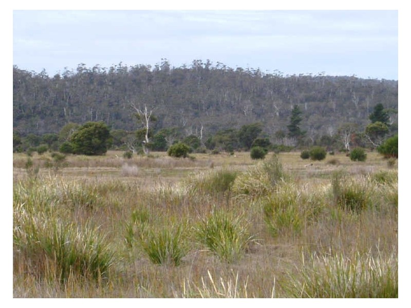 Lot 4 Flacks Road, Coles Bay TAS 7215