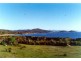 309 Harveys Farm Road, Bicheno TAS 7215