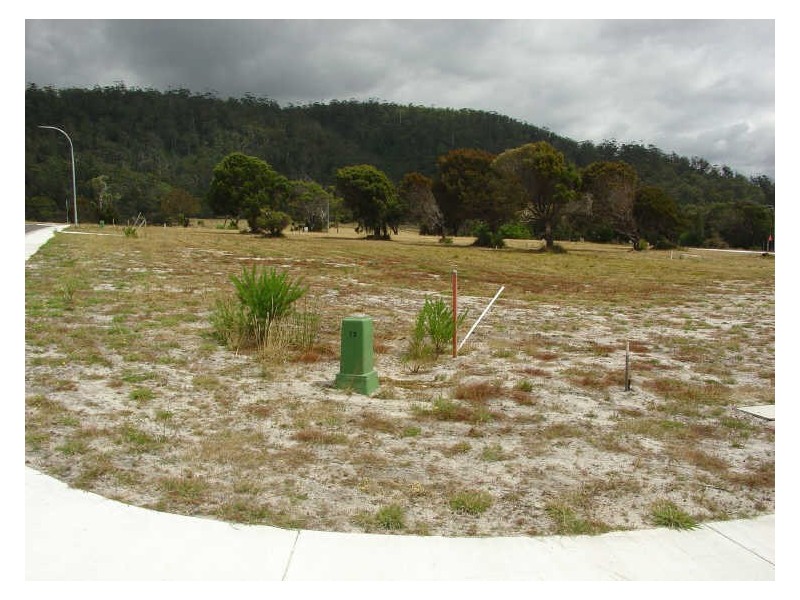 8 Rose Street, Bicheno TAS 7215