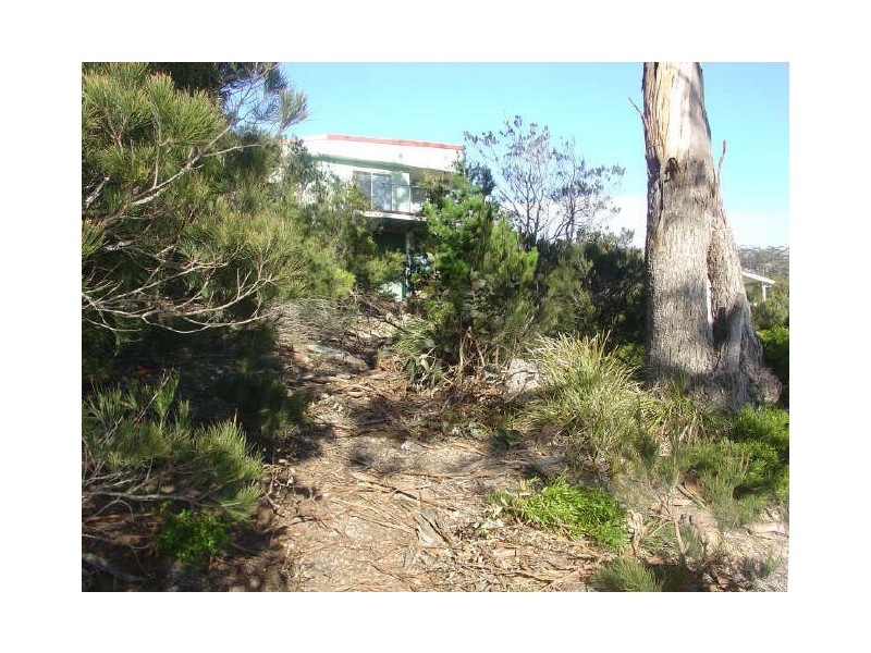 29 Fraser Street, Bicheno TAS 7215