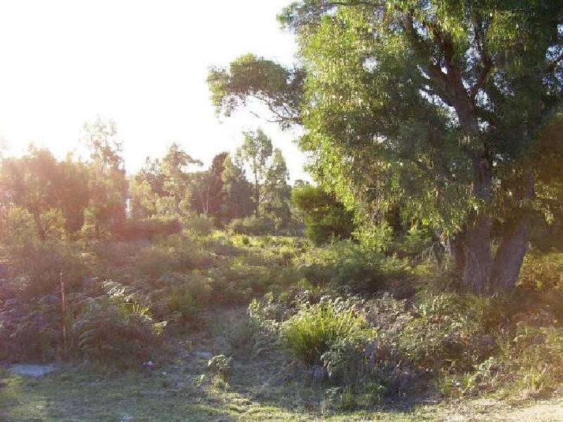 Lot 33 Hazards  View Drive, Coles Bay TAS 7215