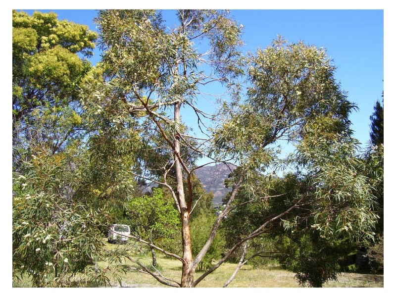 Lot 1/17 Jetty Road, Coles Bay TAS 7215